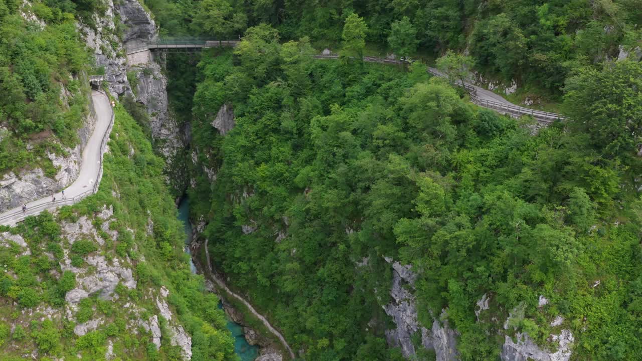 Narrow blue-green river cutting through steep rocky gorge lined with dense trees
