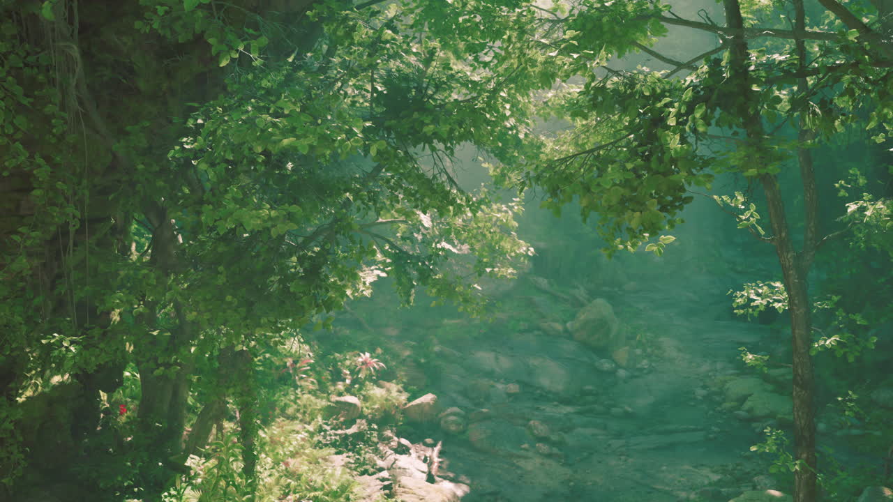 나무 를 통해 빛 을 필터링 하는 숲 길 의 아름다운