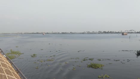 wide shot of canal waterway and trees at dusk at alappuzha, kerala, india