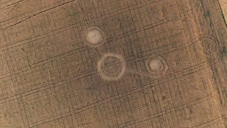 crop circles in a field