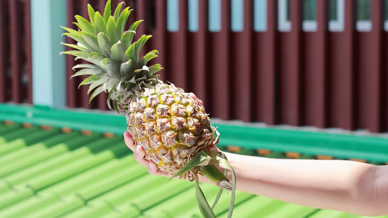 A hand holds a pineapple outdoors in Phuket, Thailand, with vibrant green and red background, under bright natural lighting