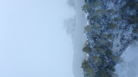 Arriba-Hacia-Abajo-Vista-Aérea-En-Movimiento-Hacia-Adelante-Sobre-Un-Pequeño-Islote-Forestal-Rodeado-Por-Un-Lago-Congelado