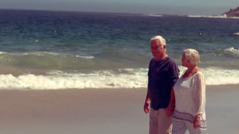 happy old couple smiling