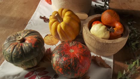 autumn fall vibes with colorful squashes and pumpkins, slow motion moves, 4k