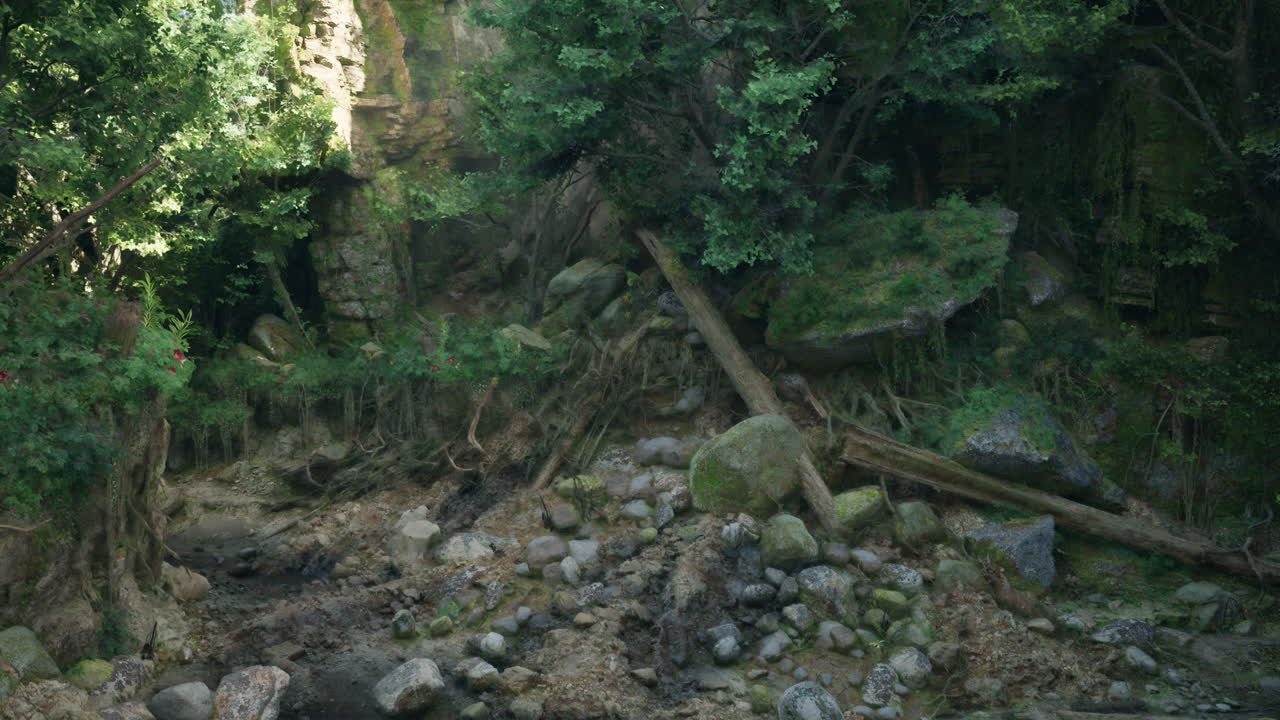 un arroyo sereno que fluye a través de un vibrante camino de montaña del bosque australiano