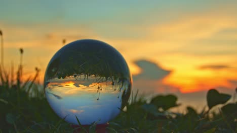 sunset in a crystal ball placed beside the grass flower.