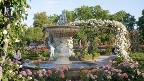 beautiful rose garden with fountain