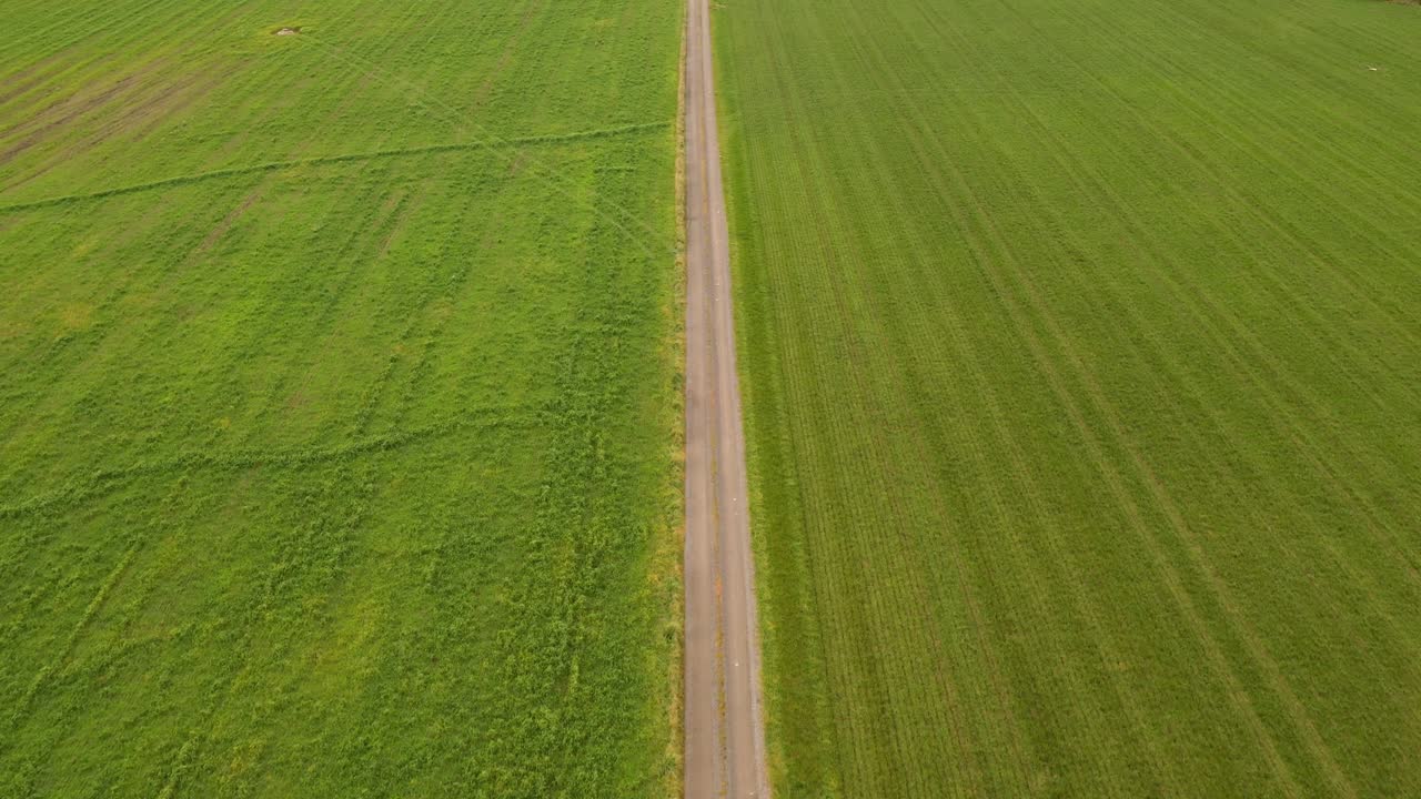 큰 녹색 필드를 통과하는 빈 흙길의 조감도