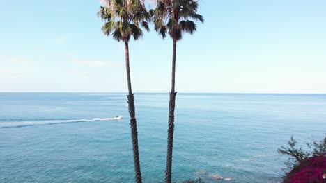 aerial view of drone flythrough two palm tree with speedboat cruise on blue ocean, madeira