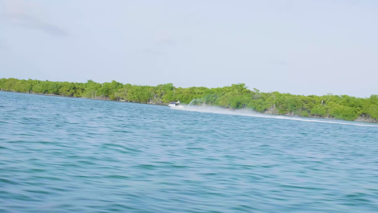 섬 옆 카리브해의 웨이브 러너