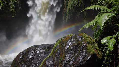 rainbow waterfall in a lush jungle