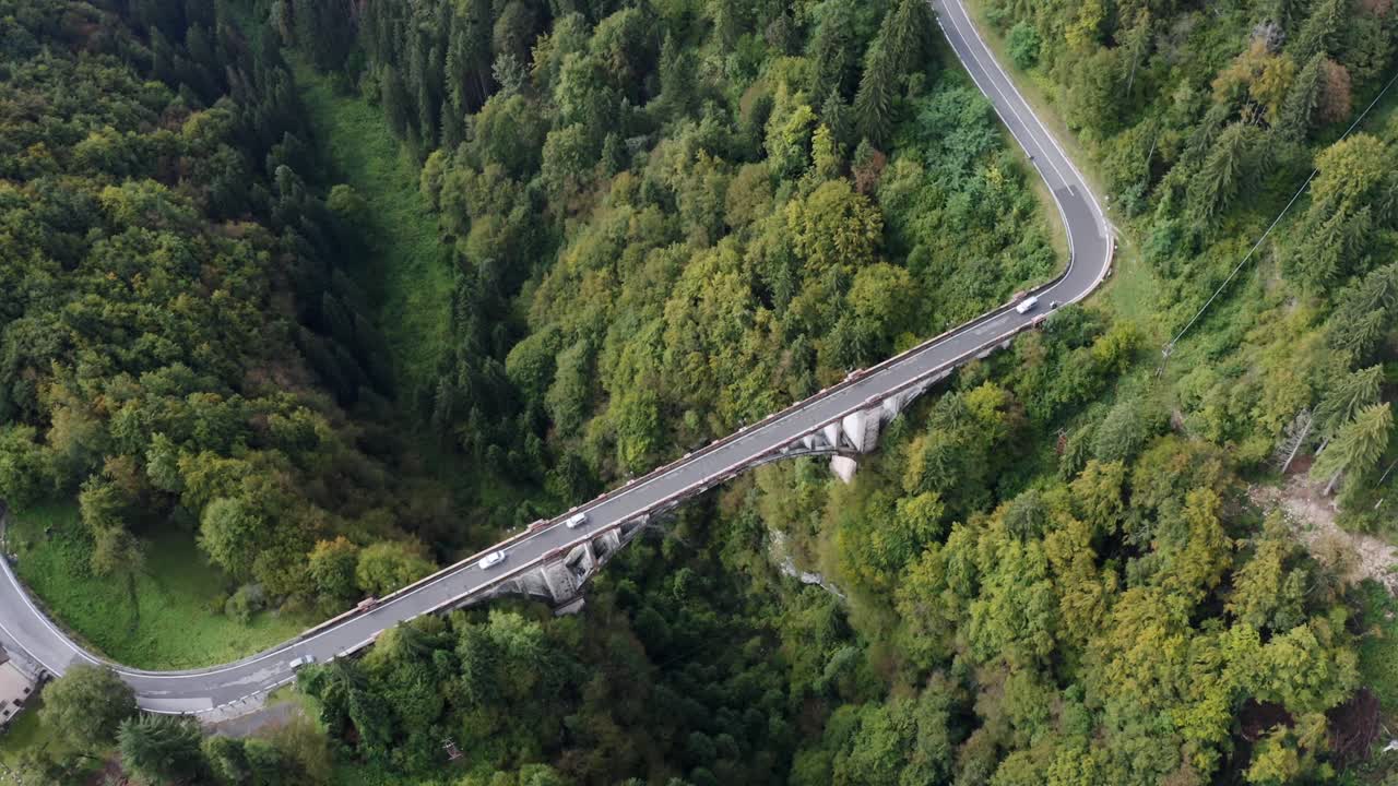 toma aérea de arriba hacia abajo de un puente espectacular con coches de conducción en carretera y barranco de bosque profundo en verano