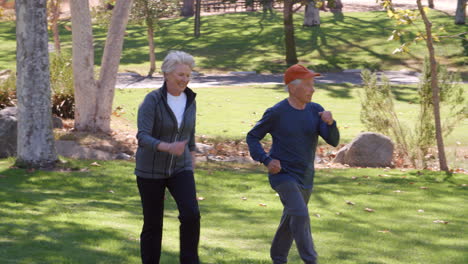 senior couple power walking through park in slow motion