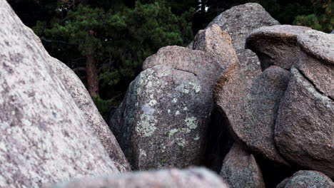 texture of large rocks by the shore in wilderness during daytime