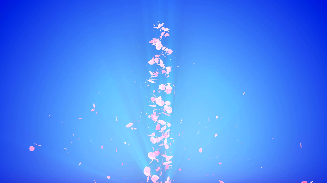 꽃의 나선형 반이는 입자, 사쿠라 패턴, 일본의 꽃 춤, 분홍색 꽃잎의 소용돌이, 추상적인 루프 애니메이션.
