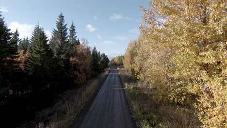 Camino-único-En-El-Campo-Con-Paisajes-De-árboles-De-Otoño-Y-Cabaña-Abandonada