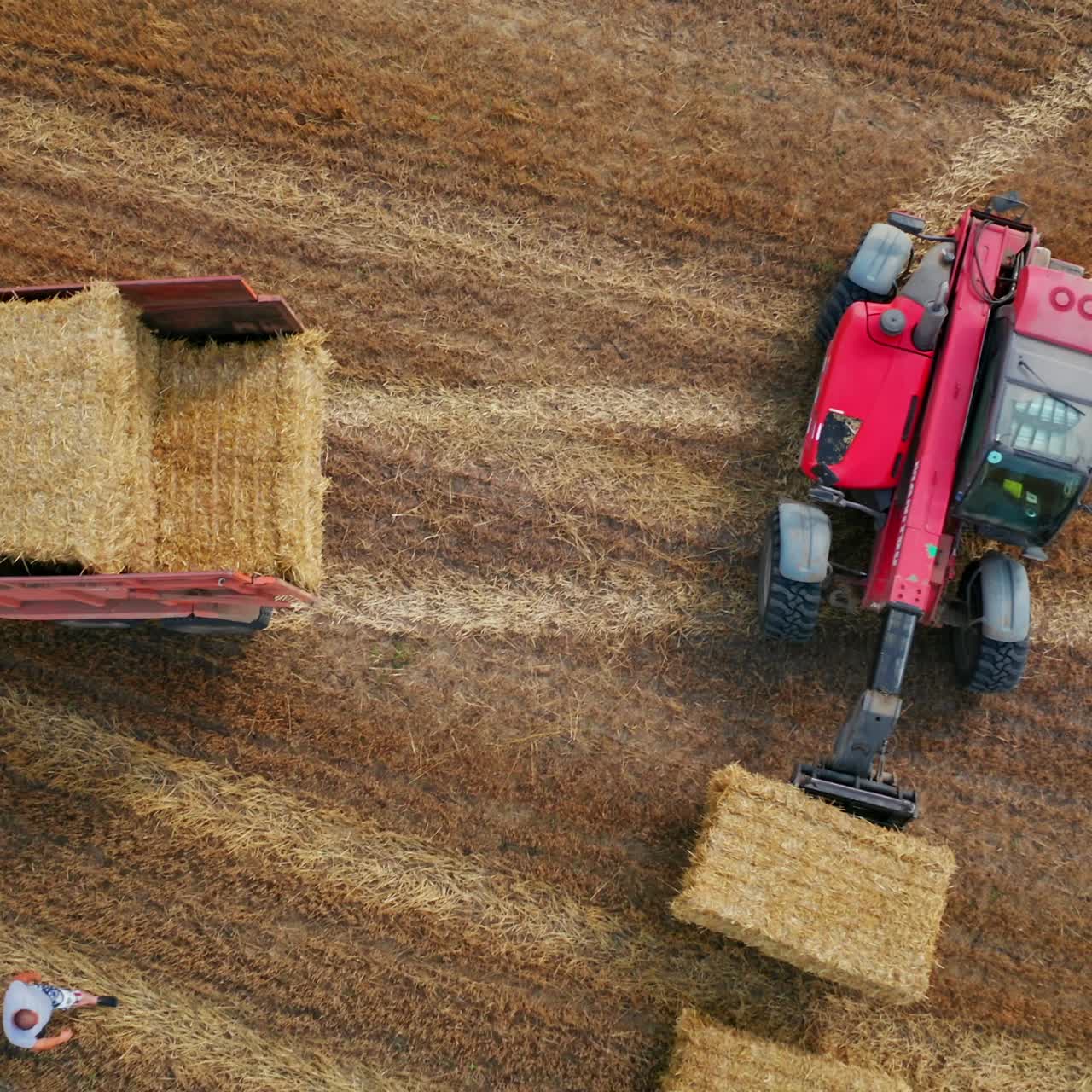 Agricultural machine farming in the field. Top view farming landscapes