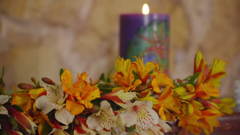 peruvian lily or lily of the incas flowers in white, orange and red