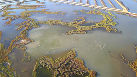 aerial view of barbate marshes natural park on a sunny summer day in cadiz, spain