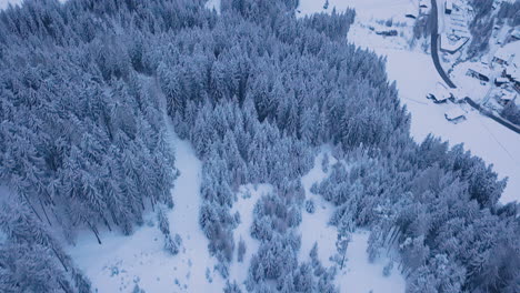 Mountain-valley-peaceful-village-at-the-edge-of-forest-aerial-scenic-view