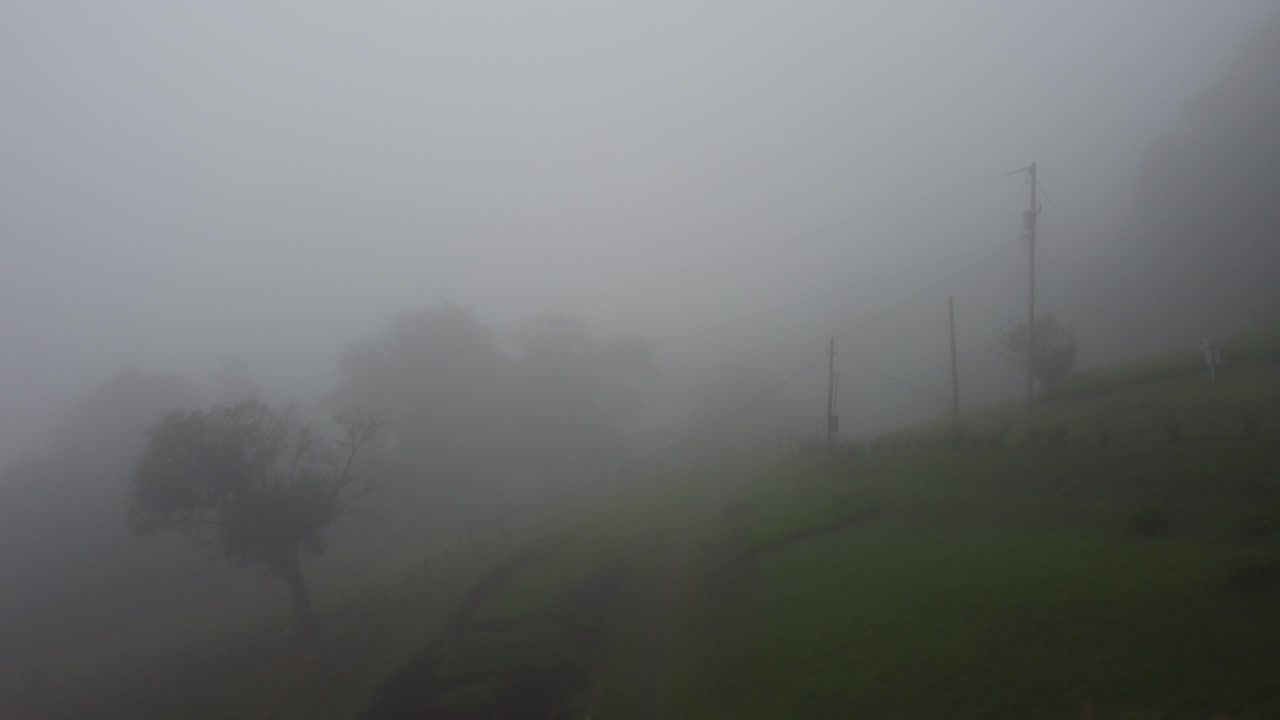 la niebla entre la naturaleza en costa rica