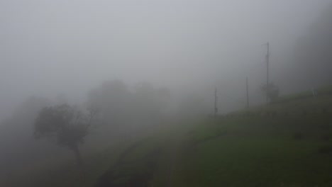 the fog among nature in costa rica