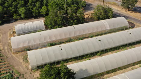 Invernaderos-De-Tamaño-Industrial-Cerca-De-Tierras-Cultivables-Con-Plantas-En-Crecimiento,-Toma-Aérea-Ascendente