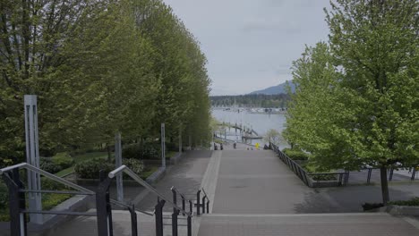 people walking down stairs leading to vancouver bay in coal harbour parked area surrounded by trees, british columbia, canada