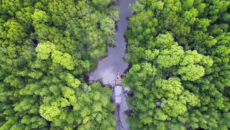 aerial view of a boat traveling through a lush mangrove forest