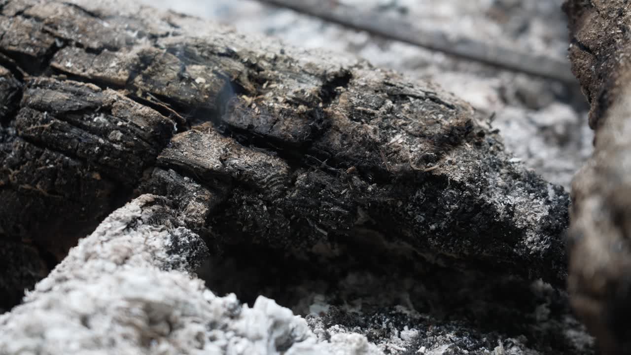 화재 후 로그에서 형성 된 클로즈업  ⁇