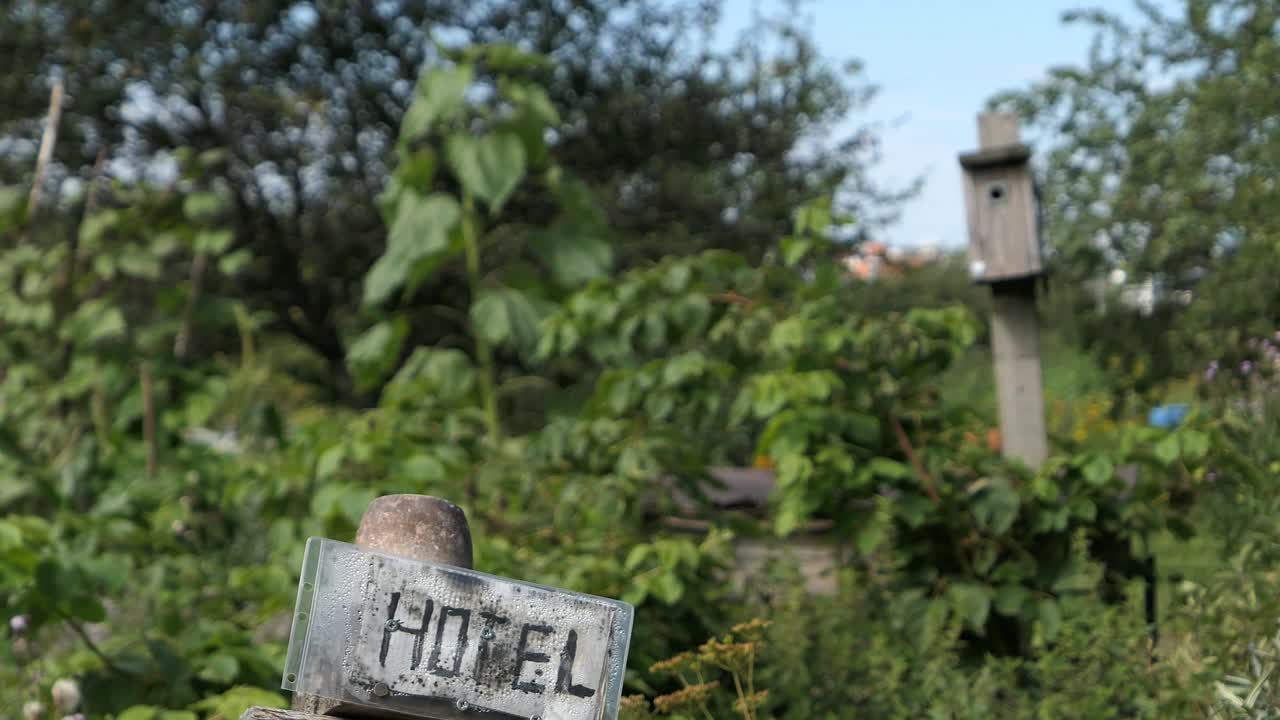 Bug hotel for insects, environmental protection gardening