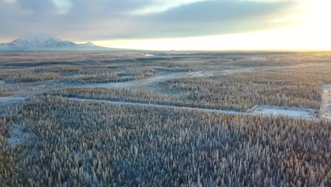 aerial, reverse, drone shot, panning over alaskan woods, at sunset, on a sunny, winter evening, in gakona, alaska, usa