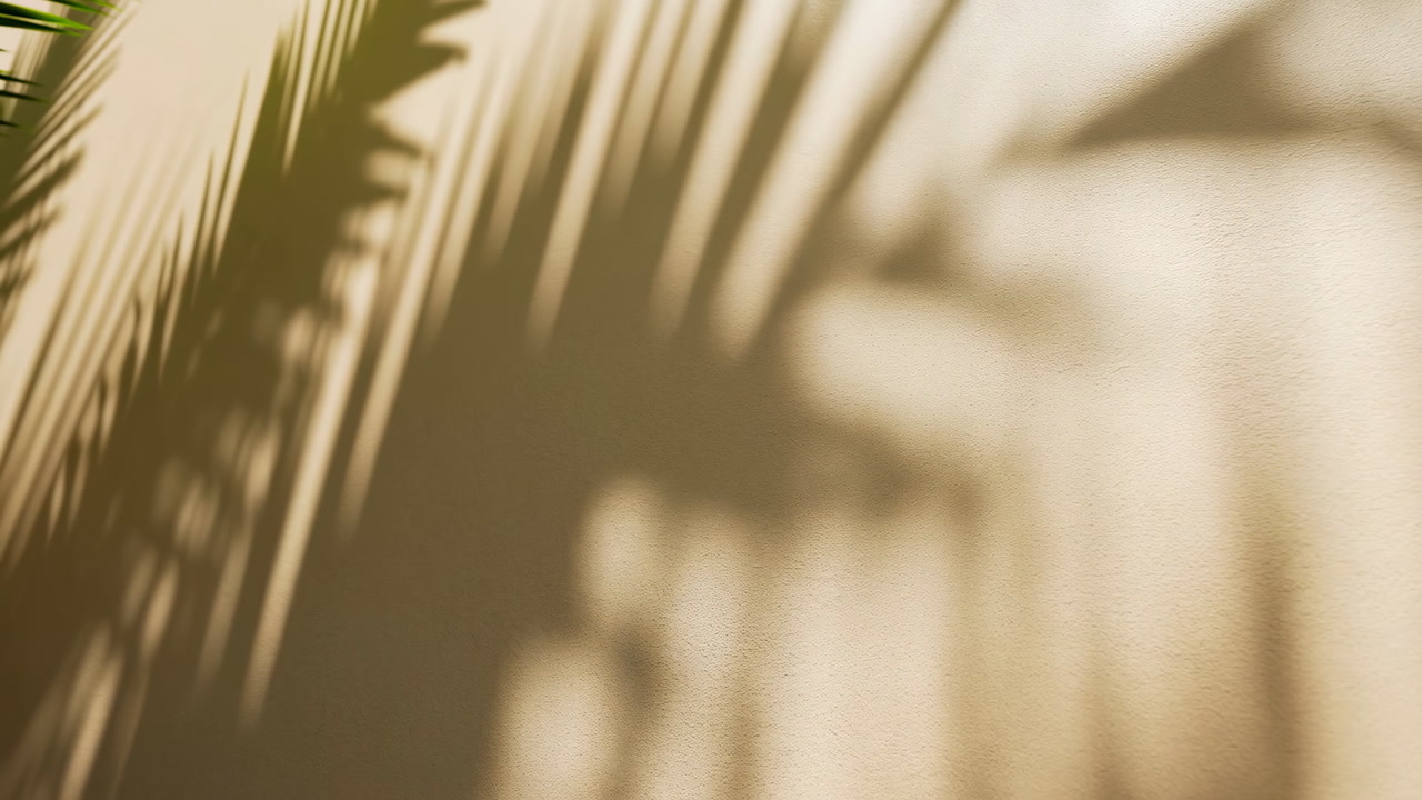 Swaying Palm Leaf Shadows on a Sunny Wall Background