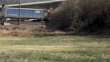 cargo train drives through rural german countryside, green field in foreground