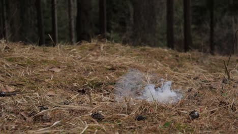 slowmotion of small firework explosion