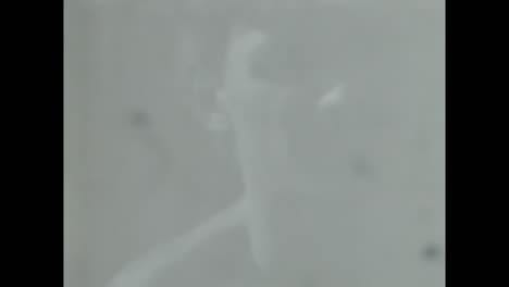 man next to tree in soviet union archive. circa ussr 1980s: an archival video of a man standing next to a tree, captured in the soviet union.