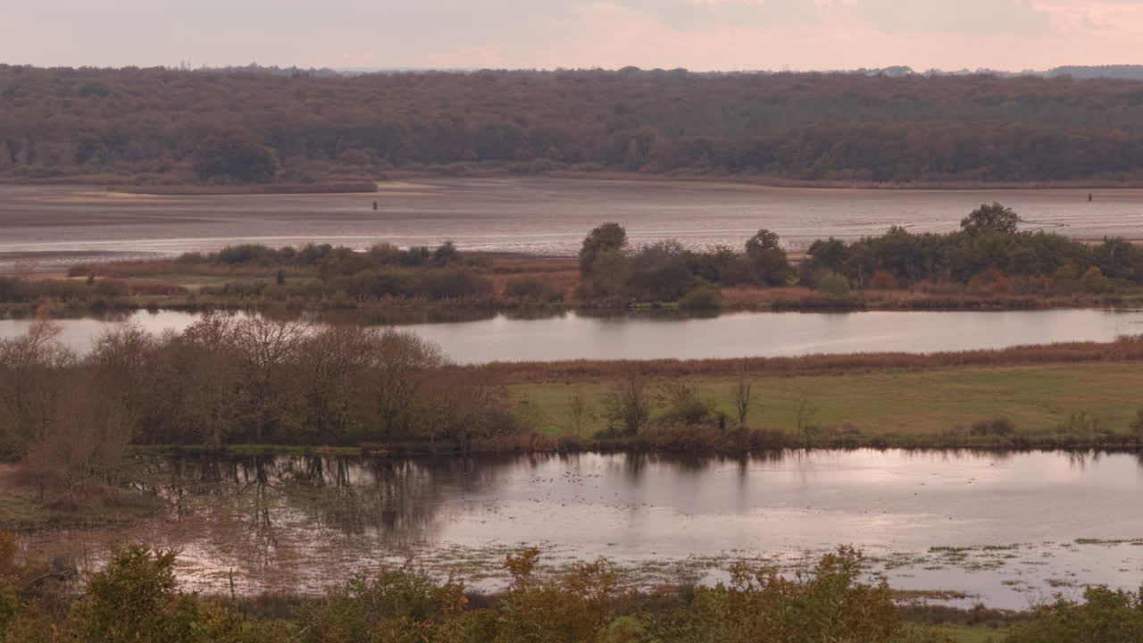 Autumnal Lake Landscape