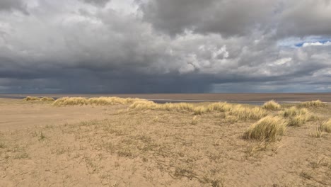 la hierba de la playa creciendo en una playa de arena iluminada por el sol con un cielo gris tormentoso