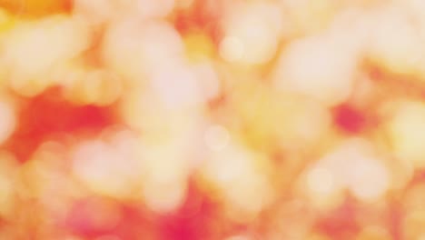 Pink background and moving pink bokeh image