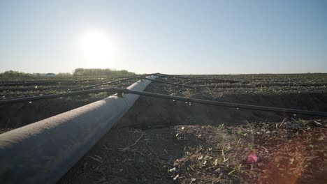 sistema de riego en tierras agrícolas. sistema de riego por goteo que ahorra agua que se utiliza en un campo.