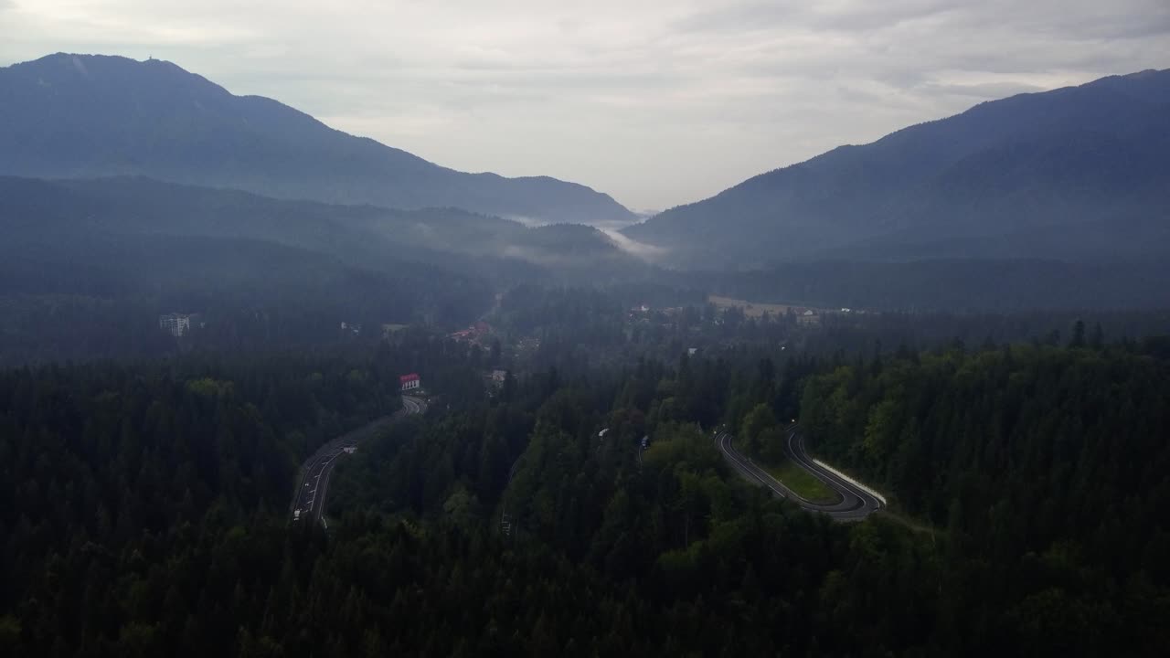 timelapse aéreo que revela una toma de un bosque salvaje en