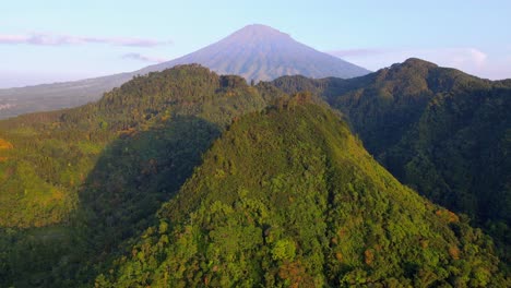 aerial view of beautiful tropical wilderness view with mountain