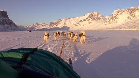 Un-Disparo-Pov-De-Un-Trineo-Tirado-Por-Perros-Que-Se-Dirige-A-Través-De-La-Tundra-ártica