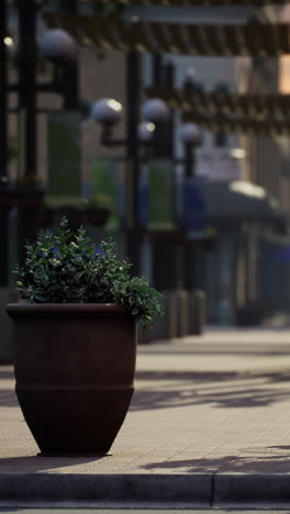 a street scene with a potted plant on the sidewalk