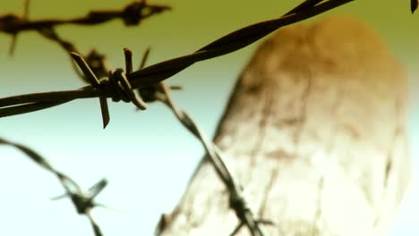 Macro-close-up-of-a-barbed-wire-fence,-barb-wire-background-with-selective-focus,-territorial-boundaries-and-limits