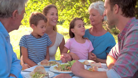 Mehrgenerationenfamilie,-Die-Gemeinsam-Im-Freien-Isst