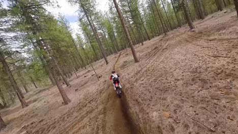 drone follows single female motocross rider through trees at speed, 60fps