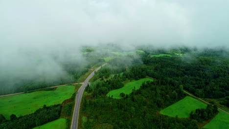 aerial flight through dense clouds and fog over rural road and forest trees in rural area during daytime