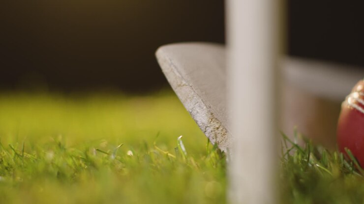 Natura morta di cricket con primo piano di palla e mazza che giacciono nell'erba dietro i paletti 5.