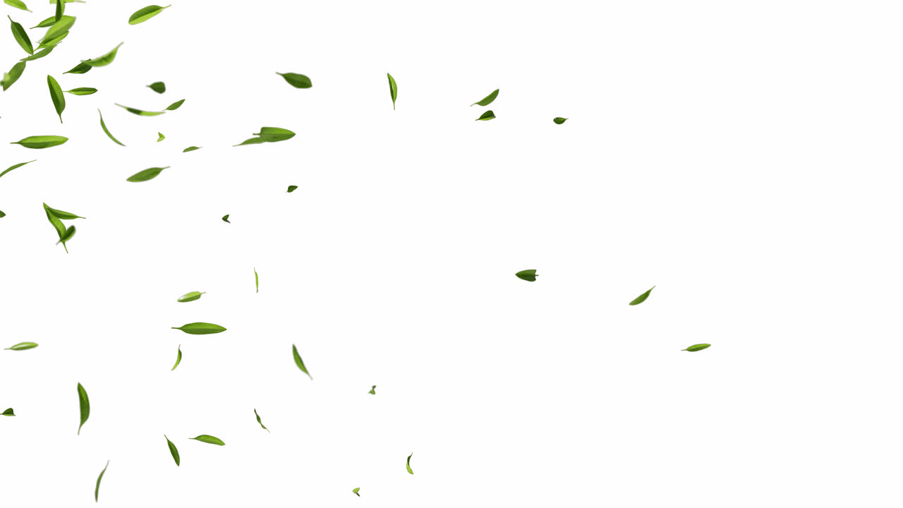 알파 채널을 가진 천연 녹색 차 잎, 3d 렌더링